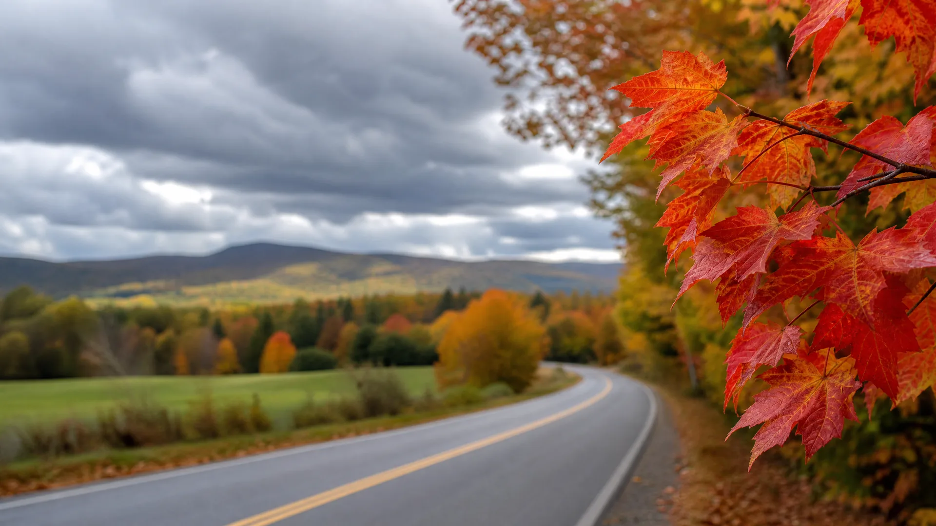 A two-lane road with a yellow center line curves through countryside with autumn-colored trees, a green field, and distant hills under a cloudy sky, framed by red maple leaves in the foreground.