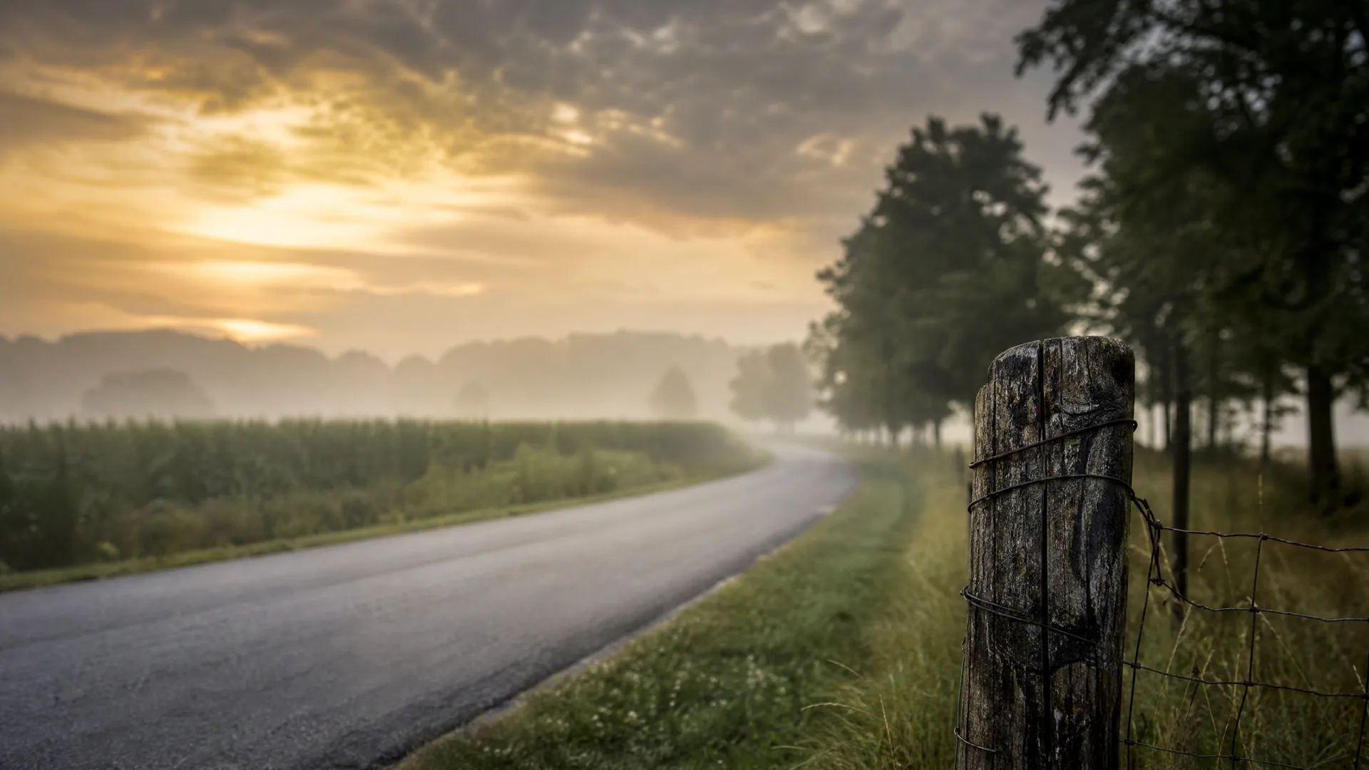 A paved country road curving through misty fields at sunrise, with a weathered wooden fence post and wire fence in the foreground and a row of trees on the right.
