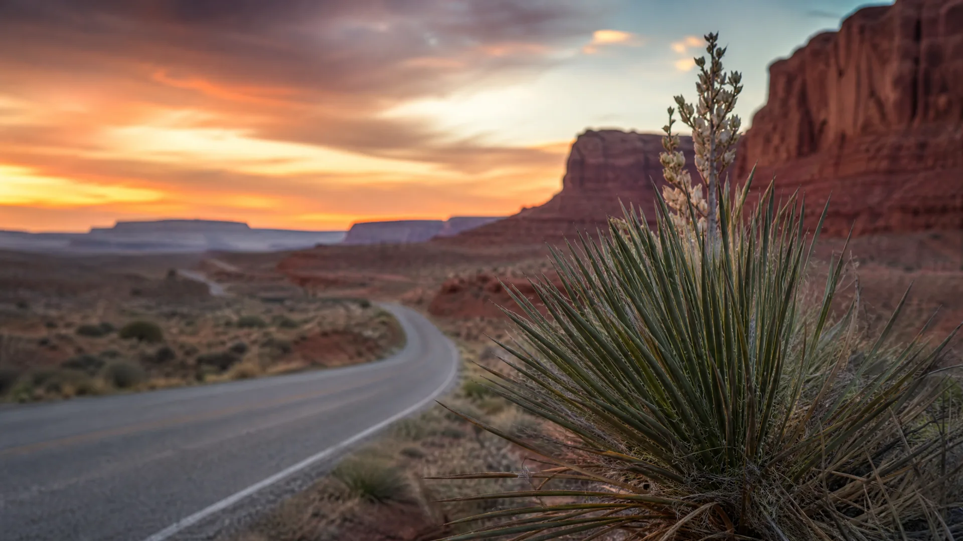 A yucca plant with a flowering stalk in sharp focus in the foreground beside a curving two-lane road through desert scrub, with red rock cliffs and mesas under an orange sunset sky in the blurred background.