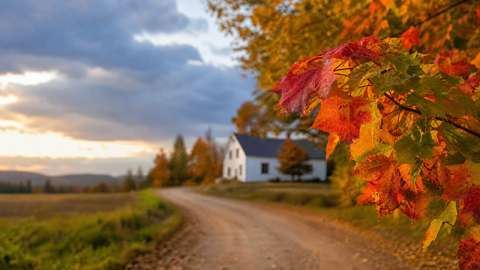 A dirt road curves past a white gabled house and trees in autumn colour, with orange and red maple leaves in sharp focus at the right edge and distant low hills under a cloudy sky.